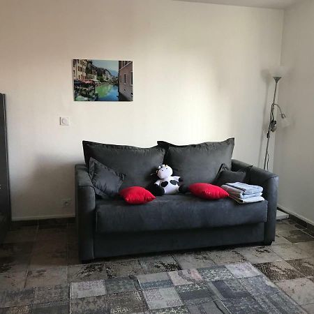 Studio Champagne Au Centre Ville Apartment Annecy Ngoại thất bức ảnh